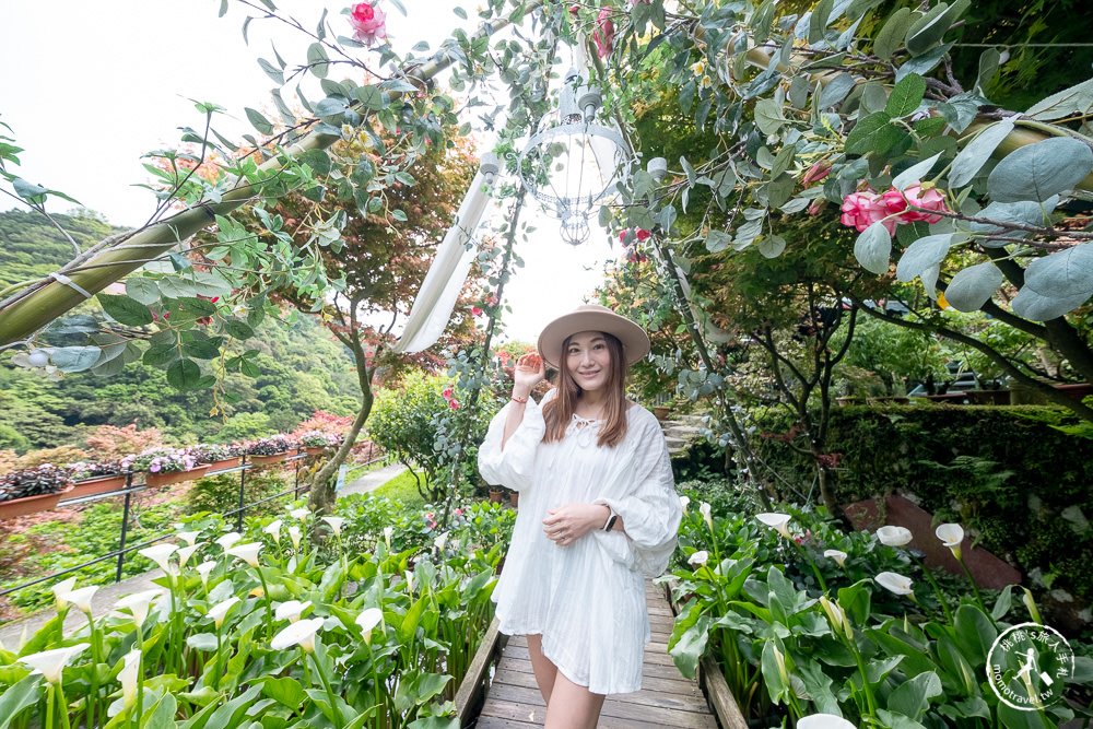 台北陽明山賞楓|大梯田花卉生態農園|海芋過後.繡球花之前.竹子湖正是楓紅時