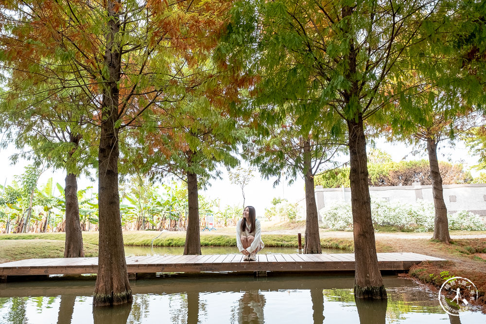 雲林虎尾景點|落羽松堀頭28秘境富士春|水上vs陸上 落羽松景觀 你喜歡哪一種?