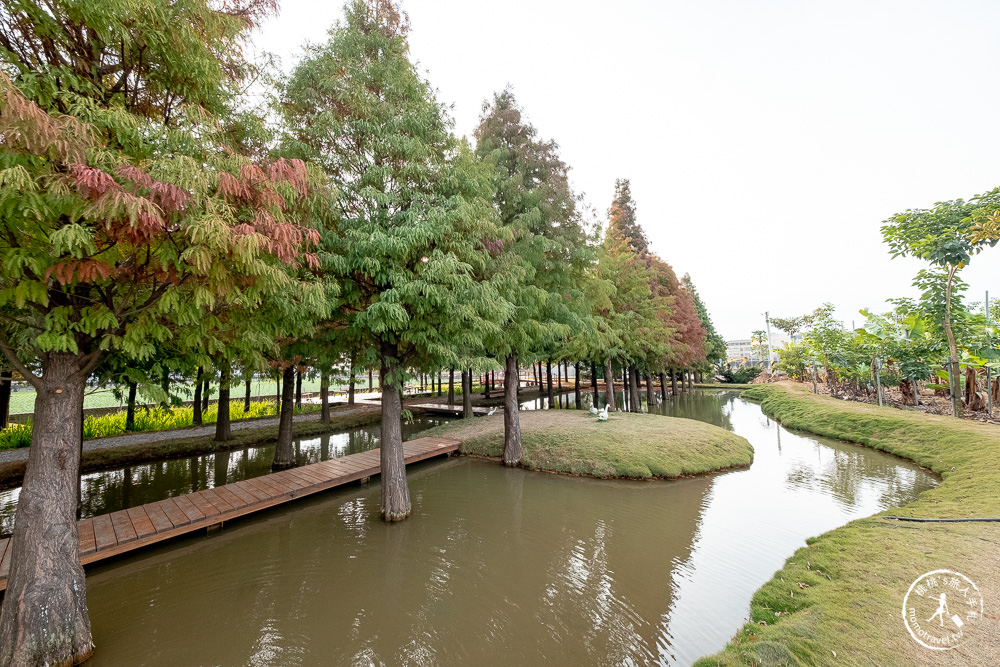 雲林虎尾景點|落羽松堀頭28秘境富士春|水上vs陸上 落羽松景觀 你喜歡哪一種?