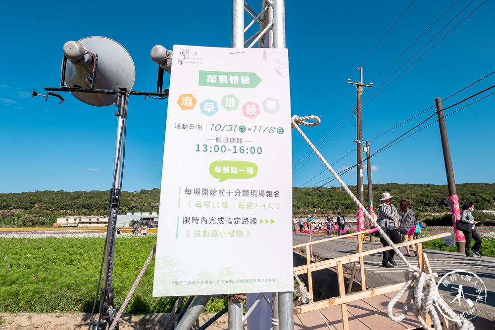 2020桃園花彩節》必看3大展區花海推薦:楊梅.大園.大溪│展區地點拍照攻略