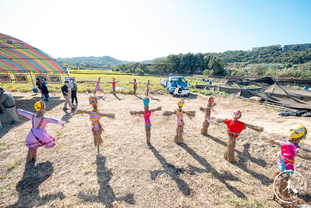 2020桃園花彩節》必看3大展區花海推薦:楊梅.大園.大溪│展區地點拍照攻略