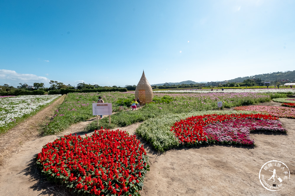 2020桃園花彩節》必看3大展區花海推薦:楊梅.大園.大溪│展區地點拍照攻略