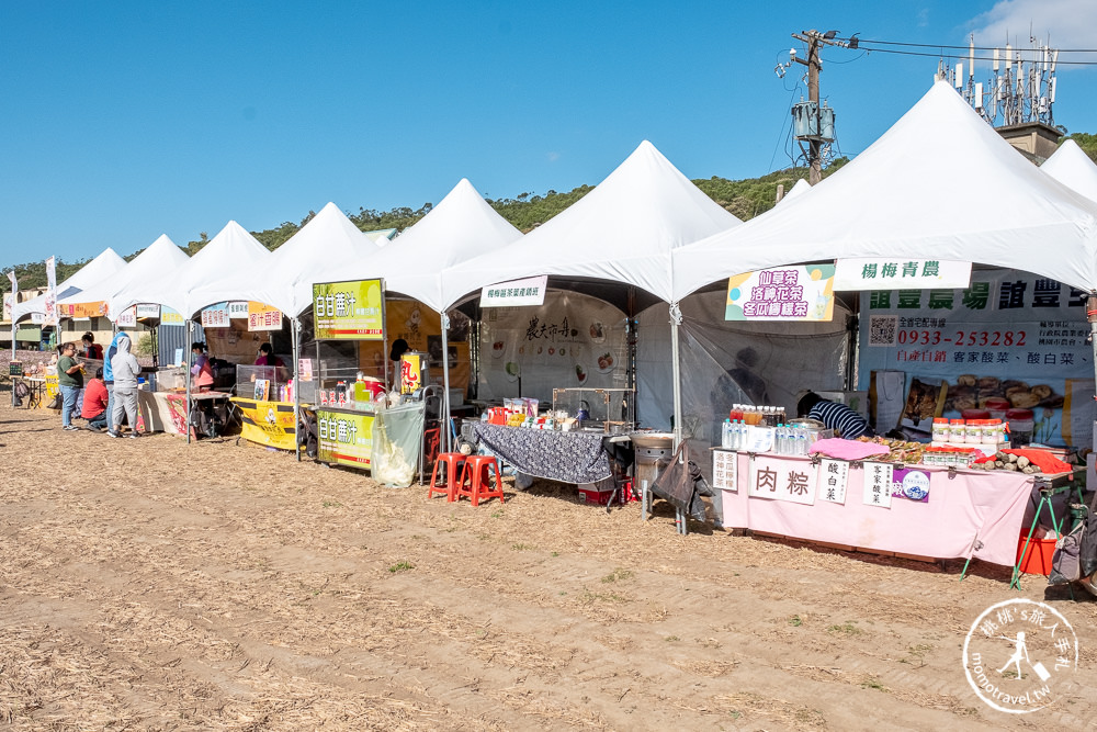 2020桃園花彩節》必看3大展區花海推薦:楊梅.大園.大溪│展區地點拍照攻略