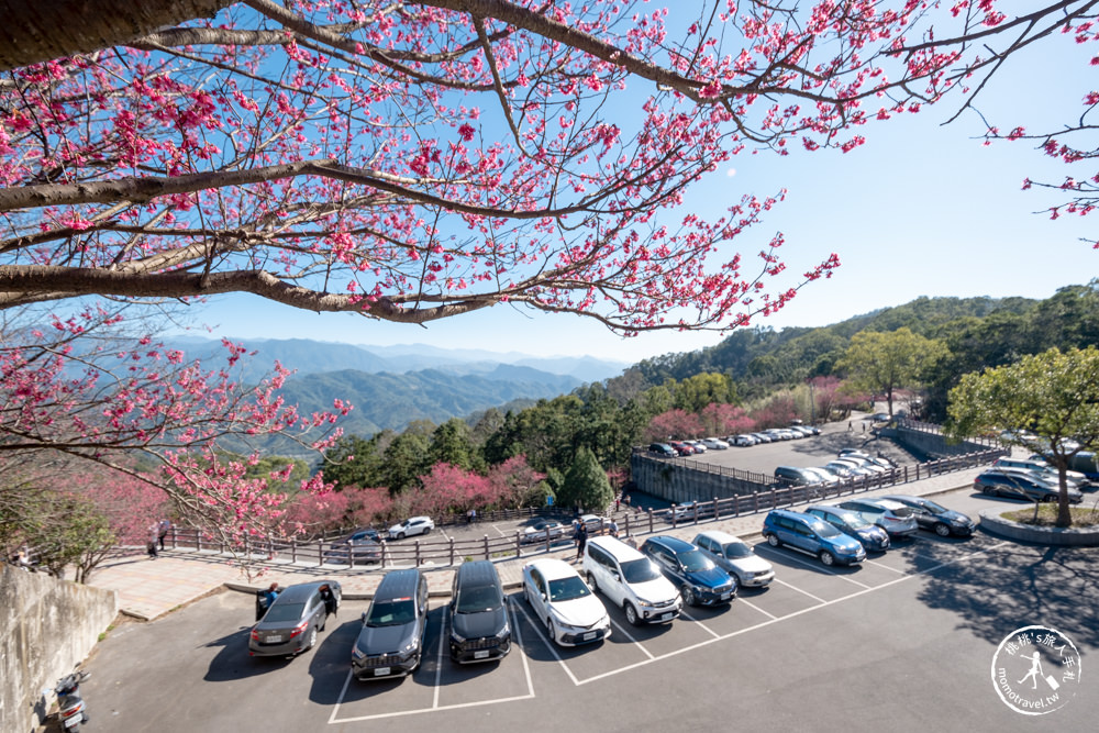 苗栗獅潭景點|協雲宮櫻花步道|苗栗櫻花季 最新賞櫻花況|停車資訊.開放時間.詳細介紹