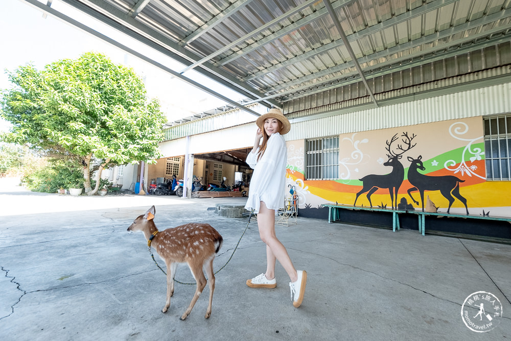 桃園蘆竹景點》山腳鹿場│近距體驗餵鹿群+帶小鹿散步，適合親子遊玩的梅花鹿.水鹿之家