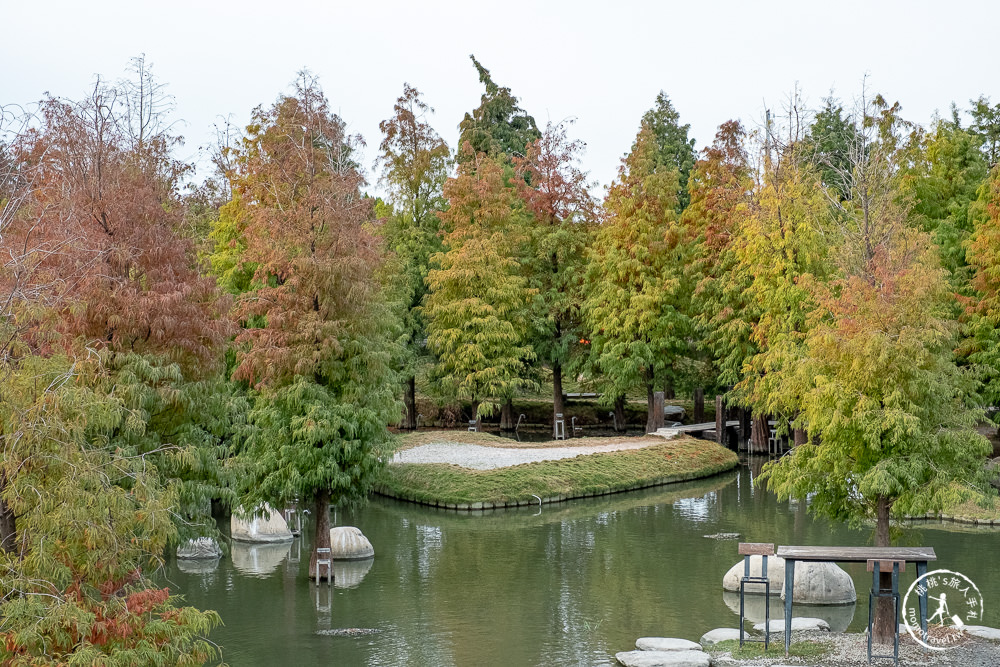 雲林虎尾景點|澄霖沉香味道森林館|台版兼六園|愛心湖畔落羽松森林秘境