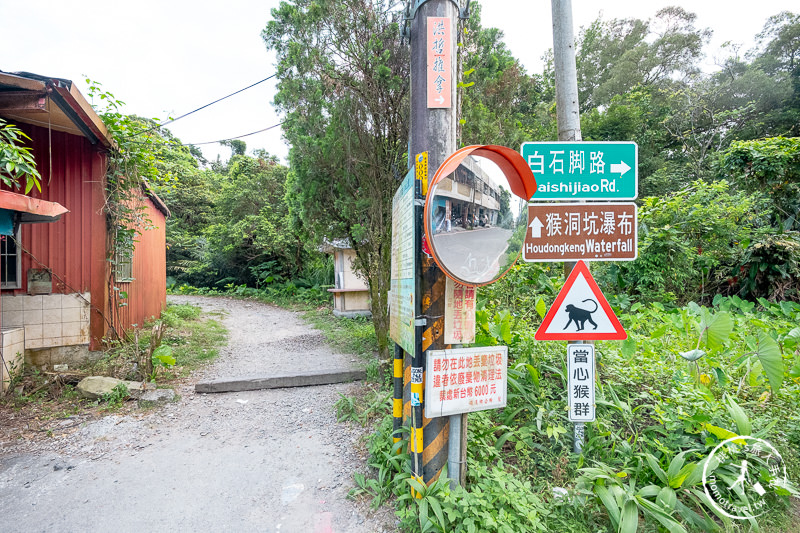 宜蘭礁溪景點》猴洞坑瀑布 通天長梯直達傳說攝影秘境