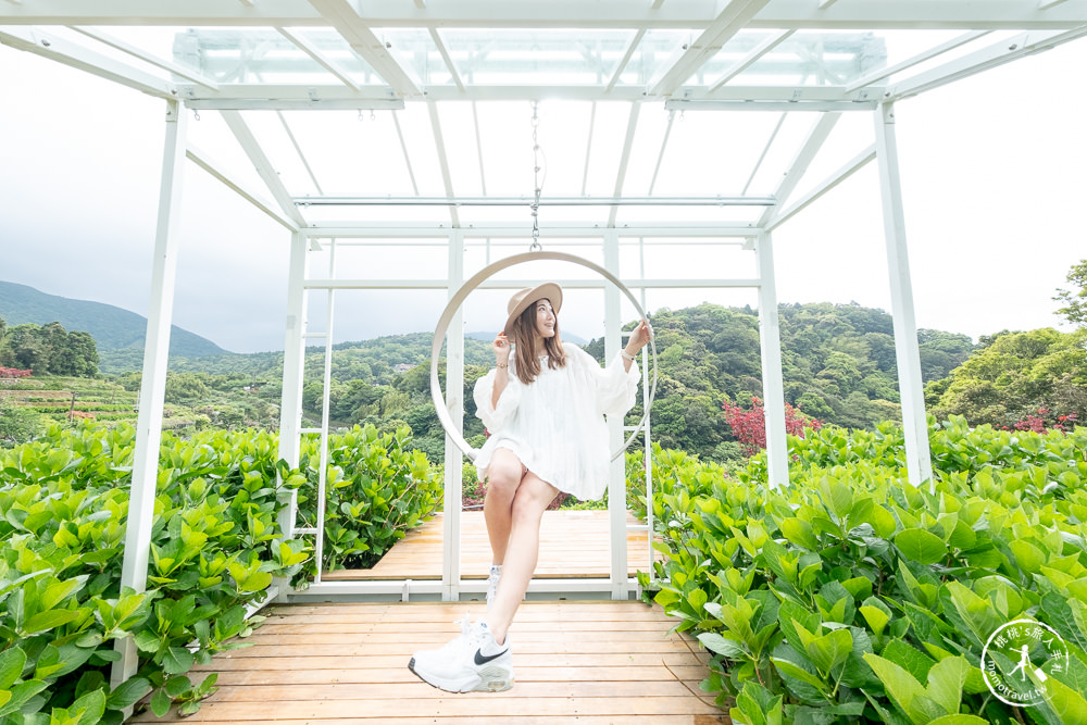 台北陽明山賞楓|大梯田花卉生態農園|海芋過後.繡球花之前.竹子湖正是楓紅時