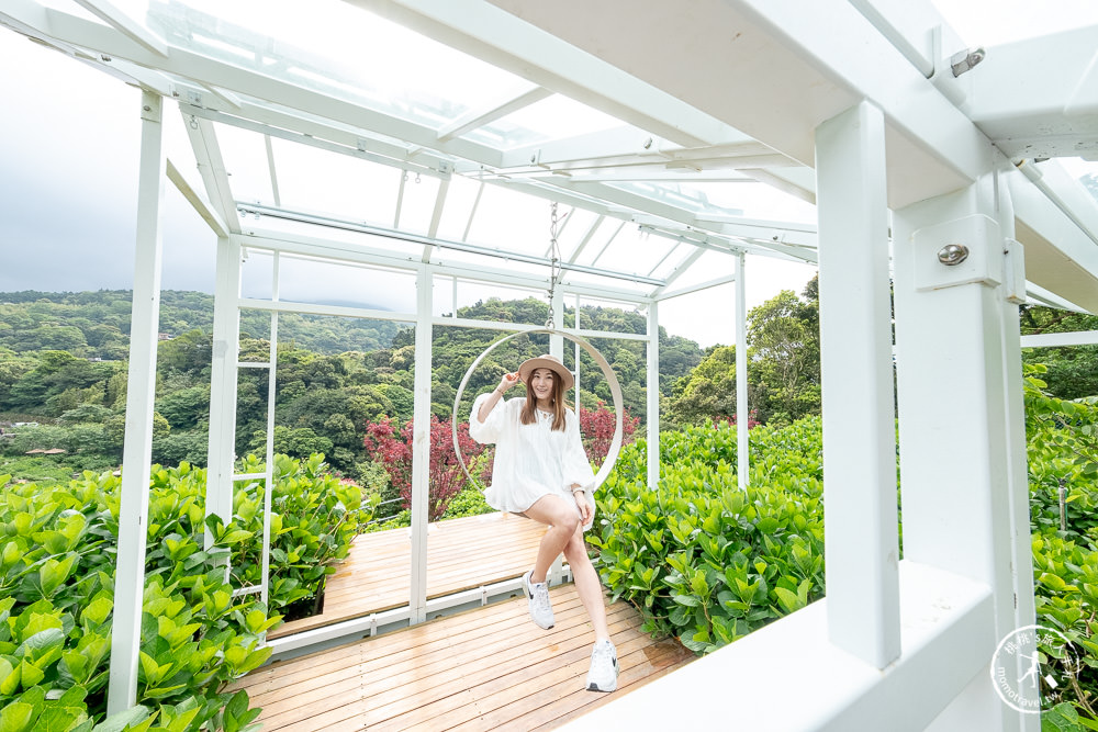 台北陽明山賞楓|大梯田花卉生態農園|海芋過後.繡球花之前.竹子湖正是楓紅時