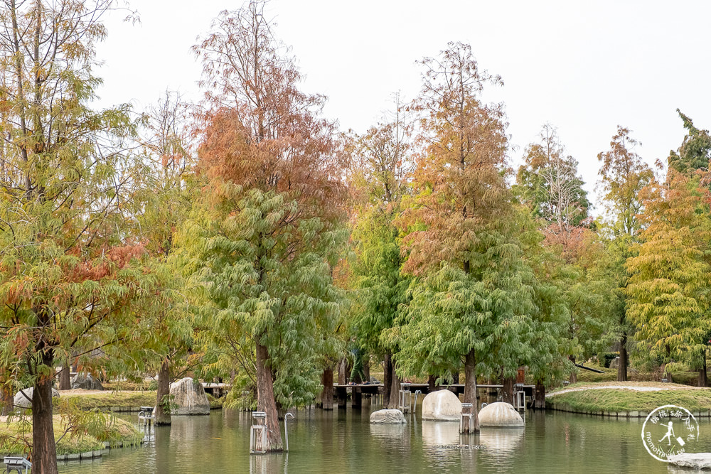 雲林虎尾景點|澄霖沉香味道森林館|台版兼六園|愛心湖畔落羽松森林秘境