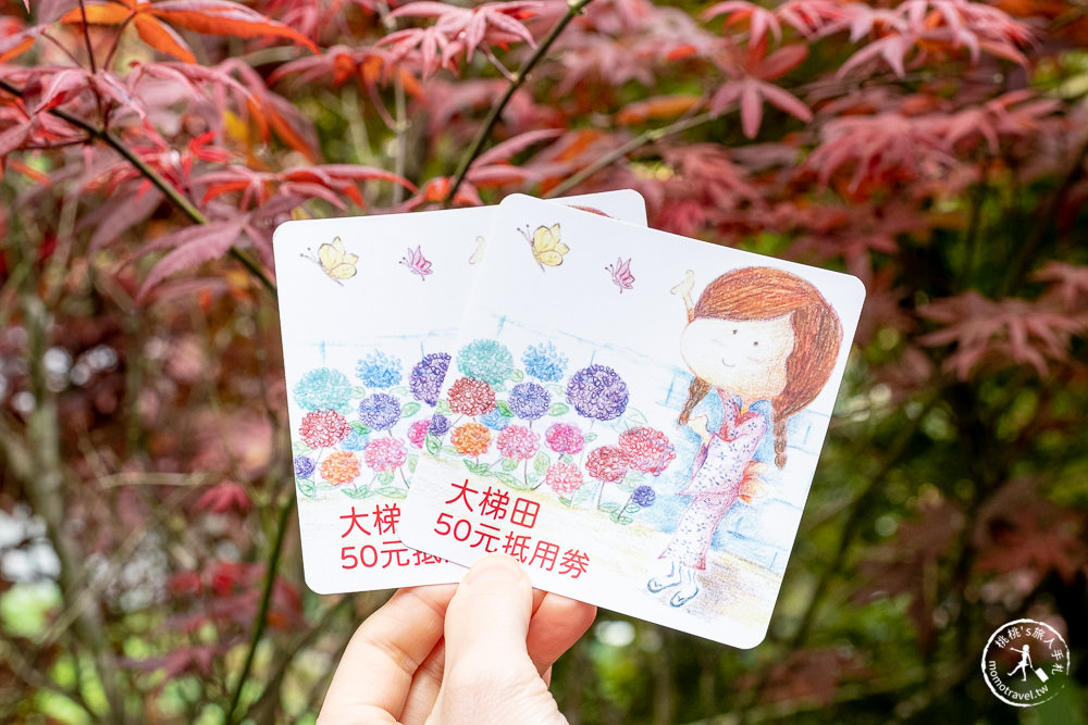 台北陽明山賞楓|大梯田花卉生態農園|海芋過後.繡球花之前.竹子湖正是楓紅時