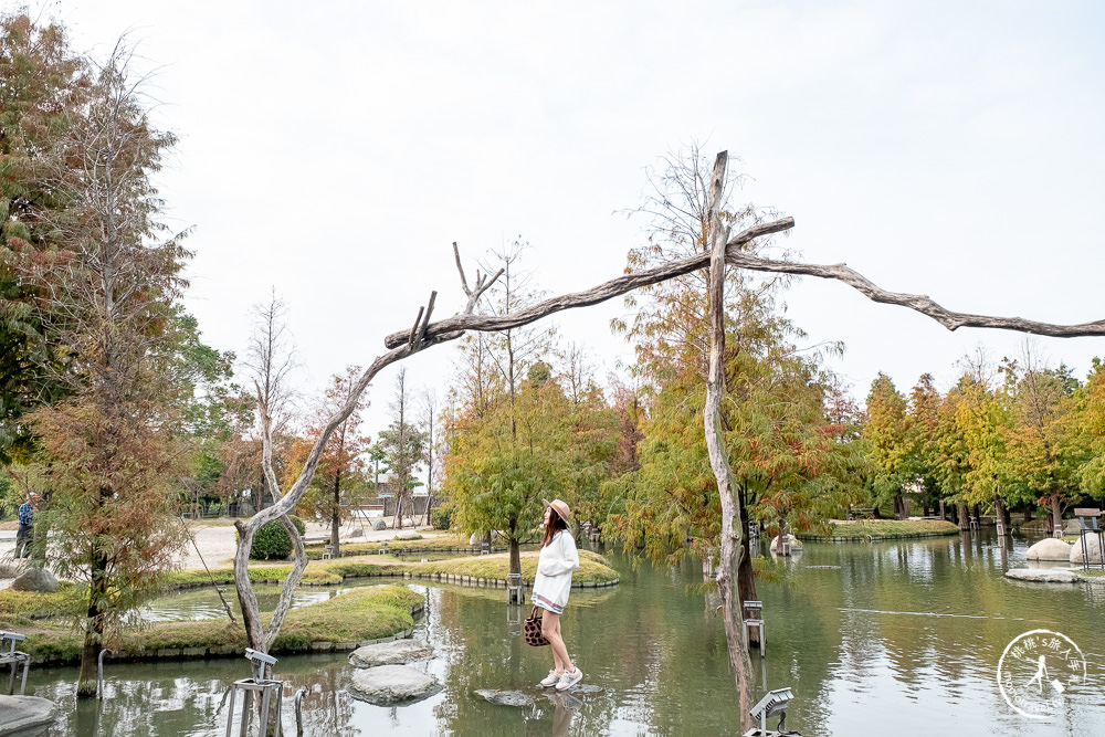 雲林虎尾景點|澄霖沉香味道森林館|台版兼六園|愛心湖畔落羽松森林秘境