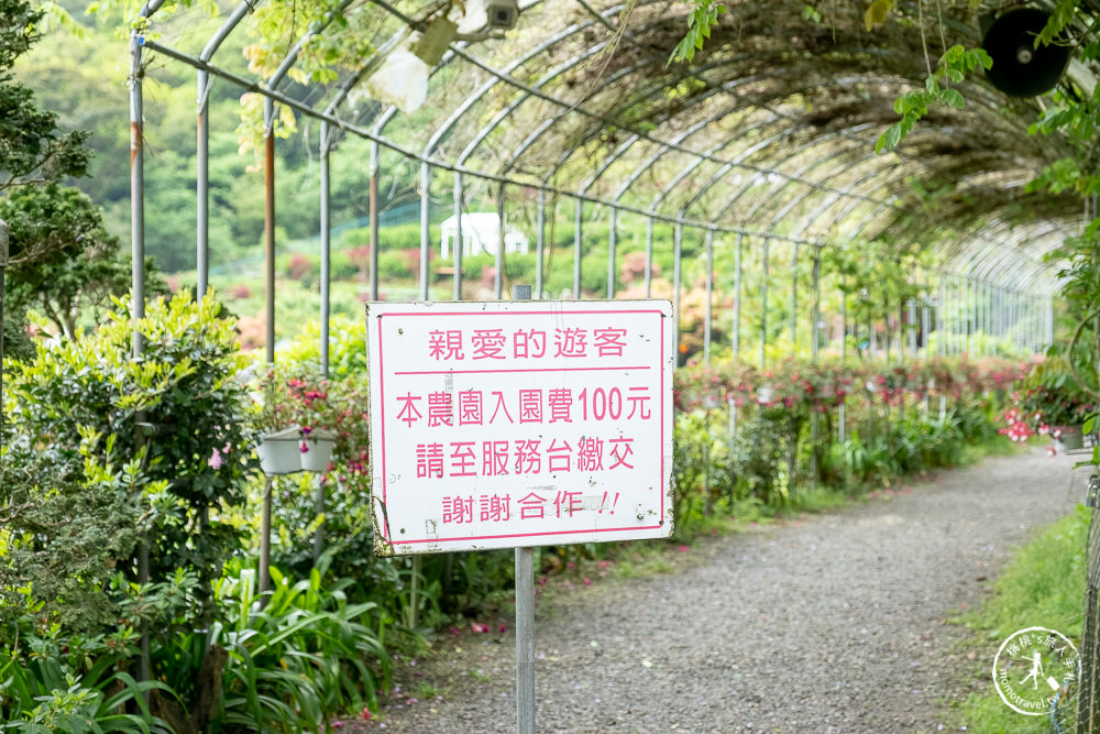 台北陽明山賞楓|大梯田花卉生態農園|海芋過後.繡球花之前.竹子湖正是楓紅時