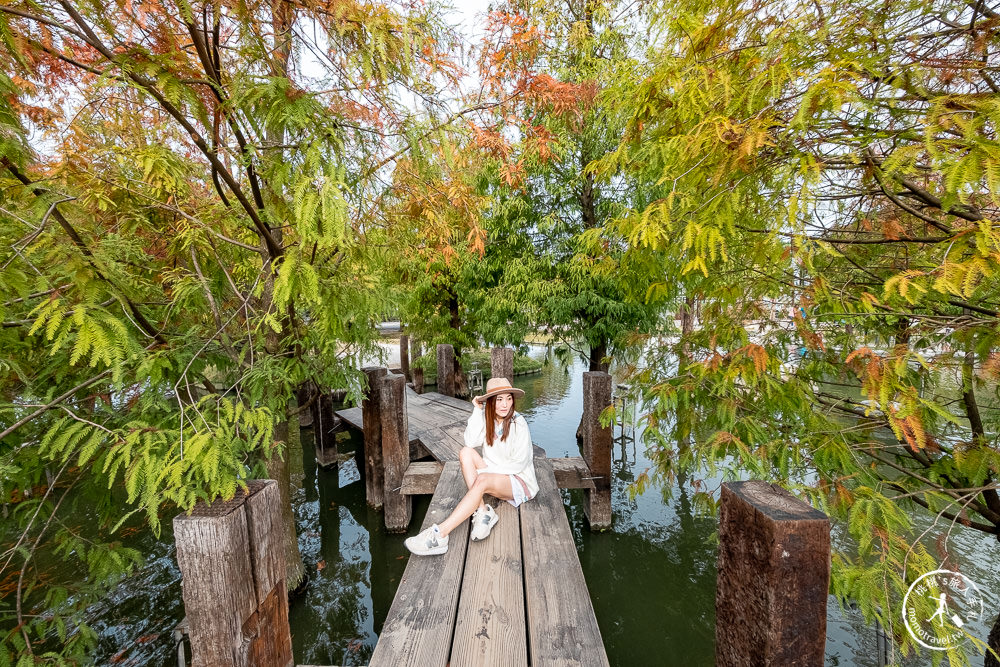 雲林虎尾景點|澄霖沉香味道森林館|台版兼六園|愛心湖畔落羽松森林秘境