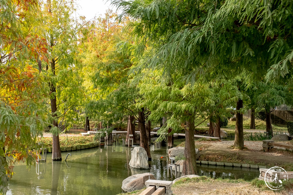 雲林虎尾景點|澄霖沉香味道森林館|台版兼六園|愛心湖畔落羽松森林秘境