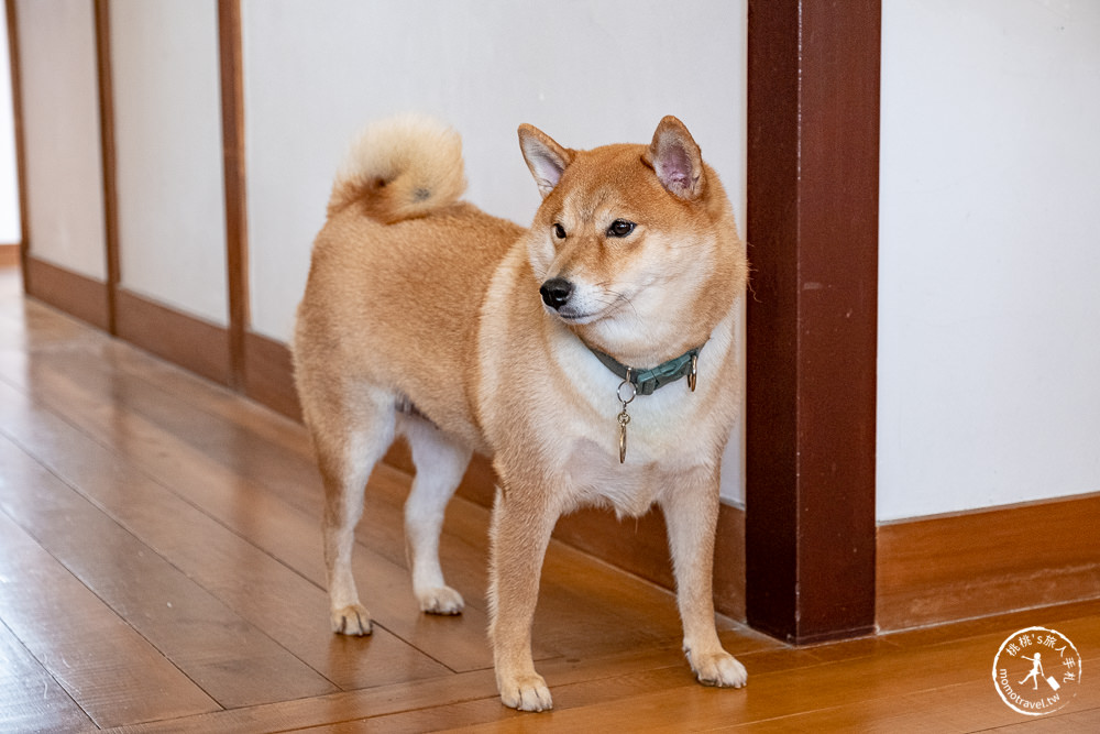 花蓮市區美食》柴犬陪你喝咖啡-咖逼小売所｜檢察長宿舍變身斗宅揀茶舍 (附菜單價格)