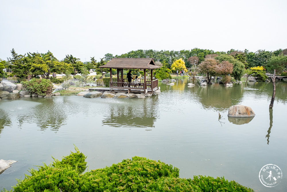 雲林虎尾景點|澄霖沉香味道森林館|台版兼六園|愛心湖畔落羽松森林秘境