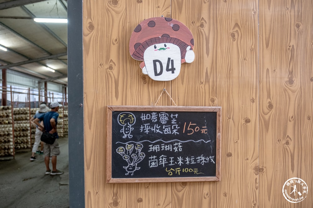 南投埔里景點|豐年靈芝菇類生態農場-體驗DIY採菇.DIY菇菇披薩.彩繪DIY，還能買太空包回家自己種
