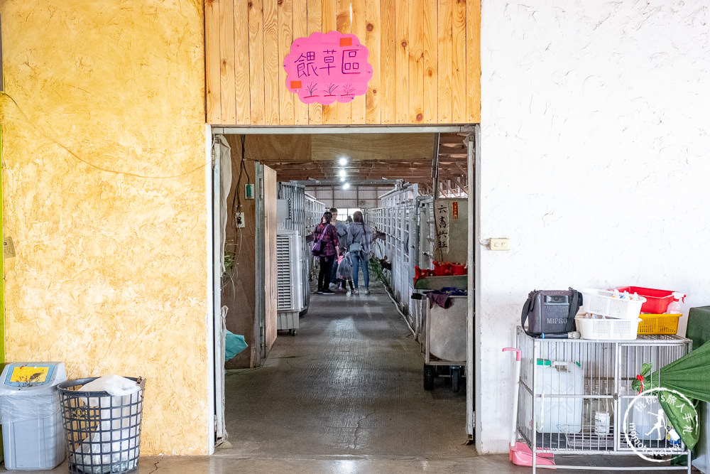 桃園蘆竹景點》山腳鹿場│近距體驗餵鹿群+帶小鹿散步，適合親子遊玩的梅花鹿.水鹿之家