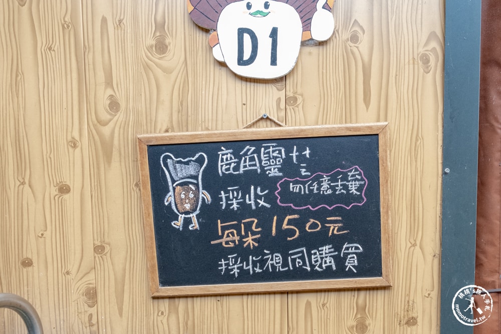 南投埔里景點|豐年靈芝菇類生態農場-體驗DIY採菇.DIY菇菇披薩.彩繪DIY，還能買太空包回家自己種