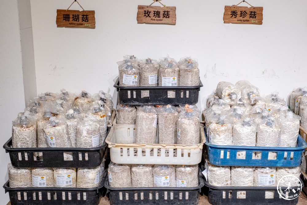 南投埔里景點|豐年靈芝菇類生態農場-體驗DIY採菇.DIY菇菇披薩.彩繪DIY，還能買太空包回家自己種