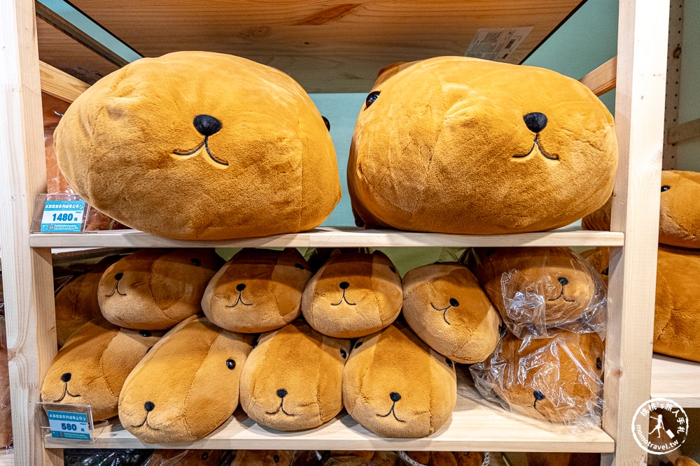 快閃店|水豚君20週年紀念快閃店-卡皮巴拉迷注意！展場拍照點+療癒周邊介紹(展期.門票.周邊商品)