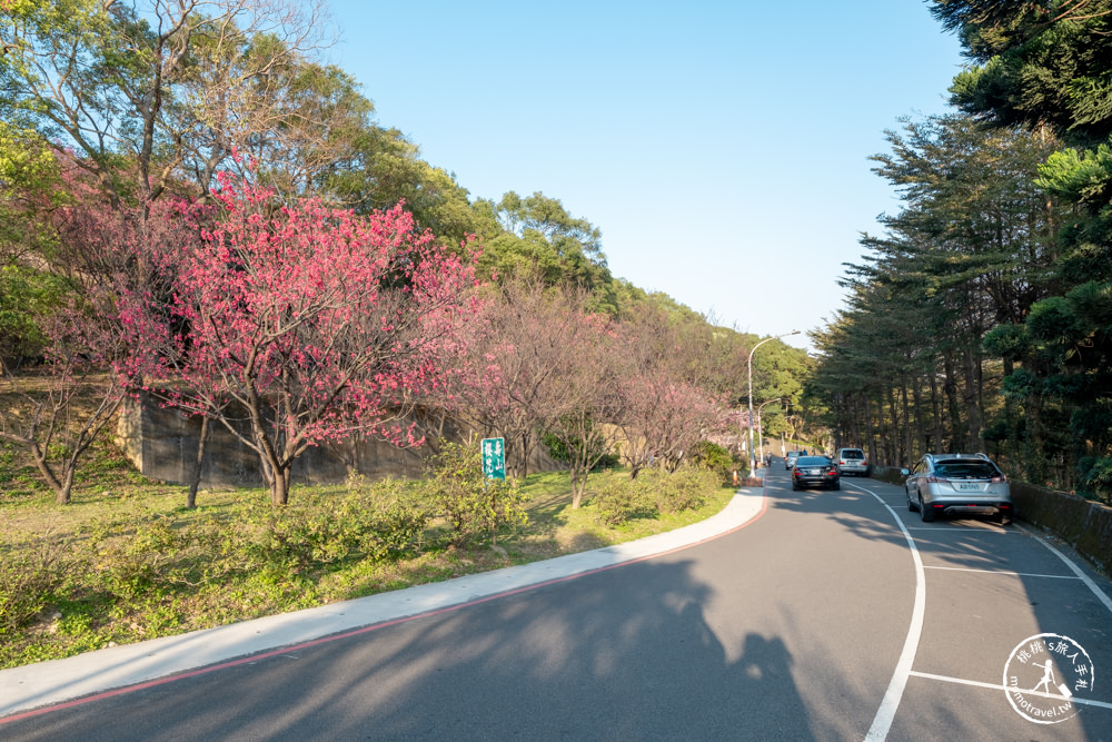 桃園龜山景點|壽山巖觀音寺-賞櫻景點最新花況|壽山巖公園.壽山櫻花園|停車資訊.開放時間.賞櫻推薦