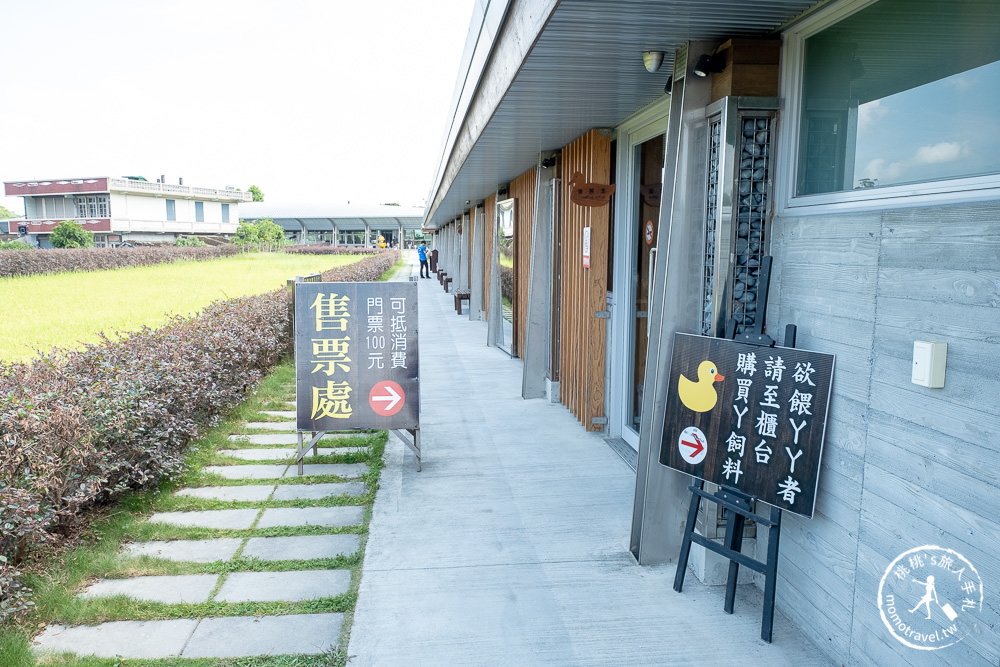 宜蘭礁溪景點》甲鳥園休閒農場│最受歡迎的摸小鴨、餵鴨鴨體驗