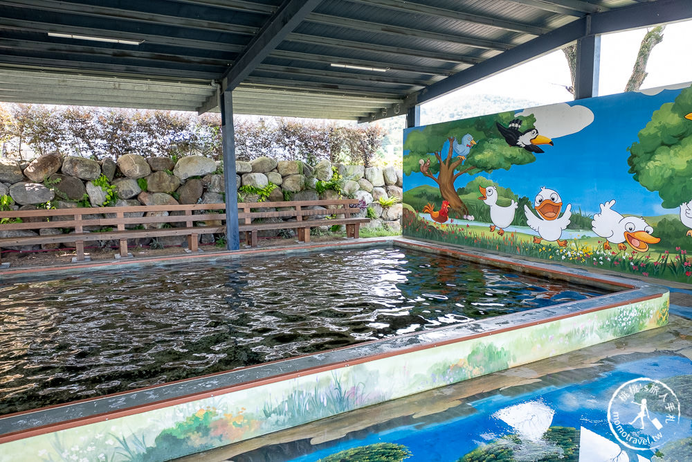 宜蘭礁溪景點》甲鳥園休閒農場│最受歡迎的摸小鴨、餵鴨鴨體驗