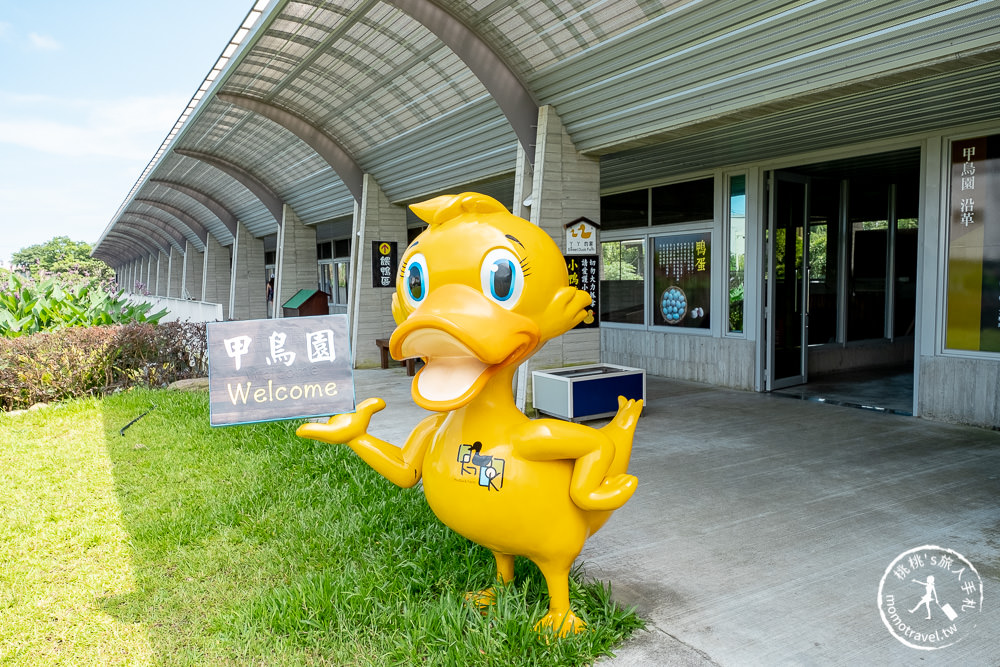 宜蘭礁溪景點》甲鳥園休閒農場│最受歡迎的摸小鴨、餵鴨鴨體驗