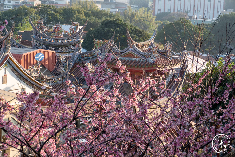 桃園龜山景點|壽山巖觀音寺-賞櫻景點最新花況|壽山巖公園.壽山櫻花園|停車資訊.開放時間.賞櫻推薦