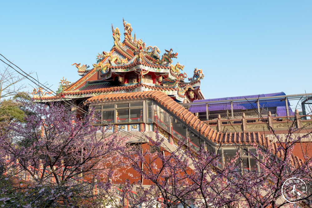 桃園龜山景點|壽山巖觀音寺-賞櫻景點最新花況|壽山巖公園.壽山櫻花園|停車資訊.開放時間.賞櫻推薦