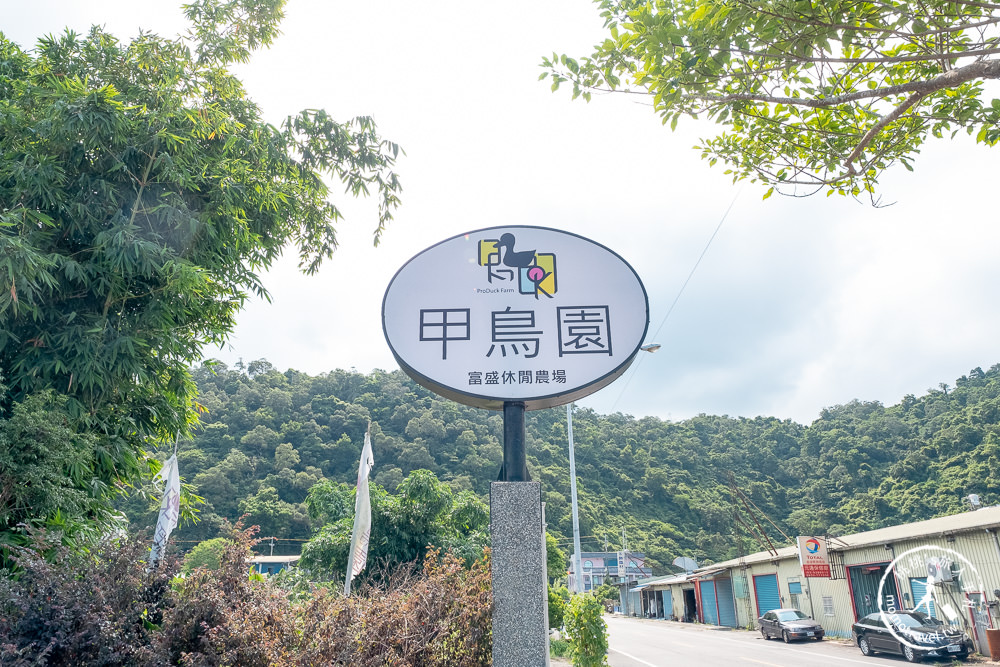 宜蘭礁溪景點》甲鳥園休閒農場│最受歡迎的摸小鴨、餵鴨鴨體驗