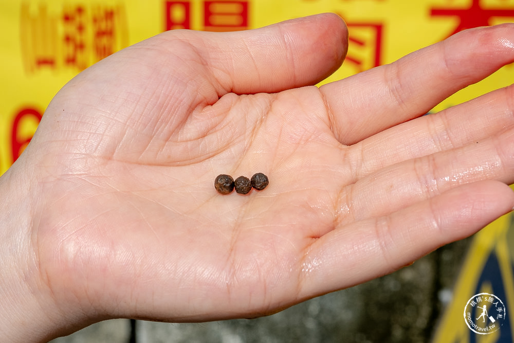 花蓮吉安美食|慶修院馬告香腸|世界最好吃的香腸．真的美味一吃成主顧啦!!!