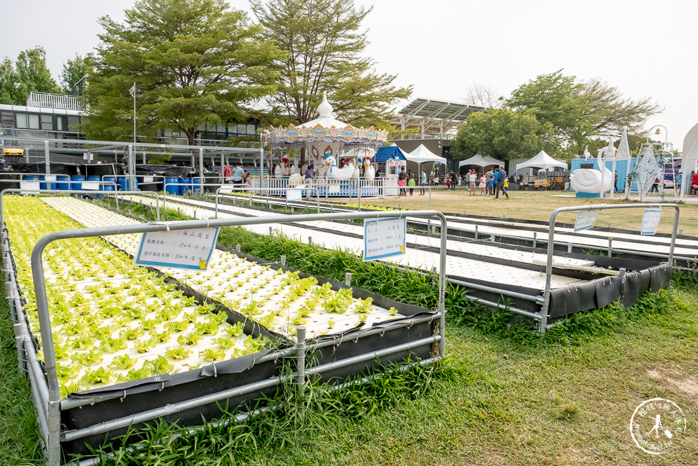 雲林斗六景點》鵝媽媽鵝童樂園(免門票)│天鵝溜滑梯、超大沙坑免費玩 最新親子遊戲景點(交通停車.營業時間.收費資訊)