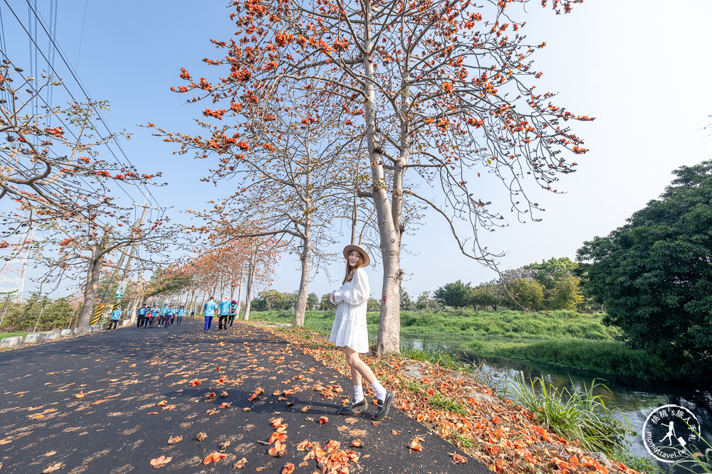彰化埤頭景點|埤頭木棉花道-東螺溪綠色隧道賞花秘境段|木棉花季時間.花況花期.交通停車.相關介紹