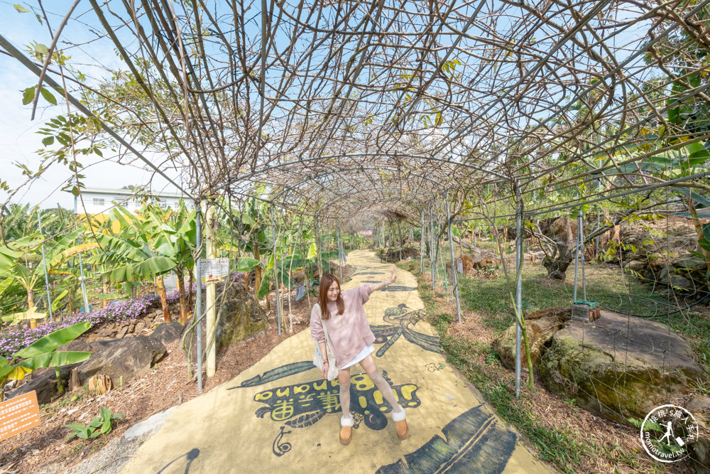 南投集集景點|集元果觀光工廠/農場/露營區/DIY|免門票暢遊香蕉王國jijibanana