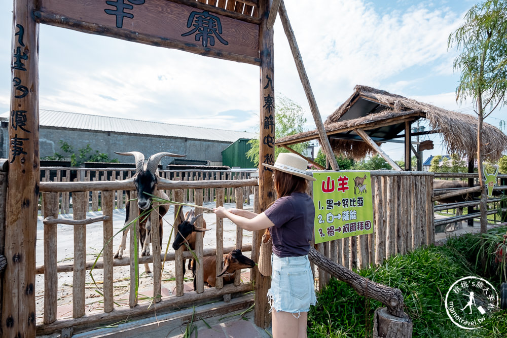 宜蘭冬山景點》心心農家樂│超佛心！牧草飼料完全免費無限提供餵到爽