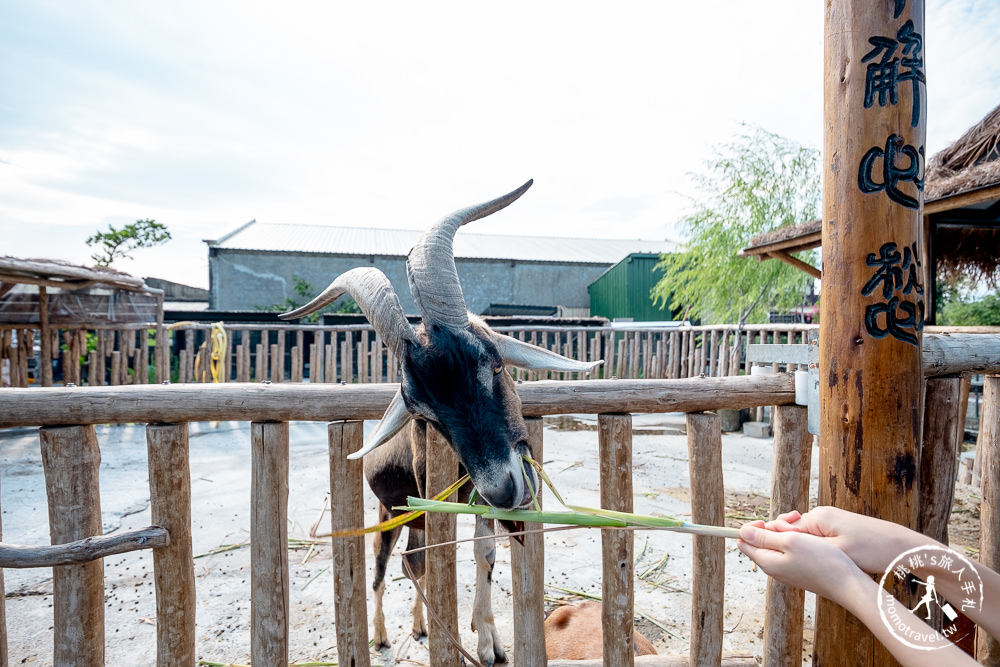 宜蘭冬山景點》心心農家樂│超佛心！牧草飼料完全免費無限提供餵到爽