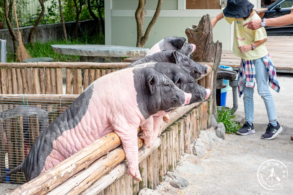 宜蘭冬山景點》心心農家樂│超佛心！牧草飼料完全免費無限提供餵到爽