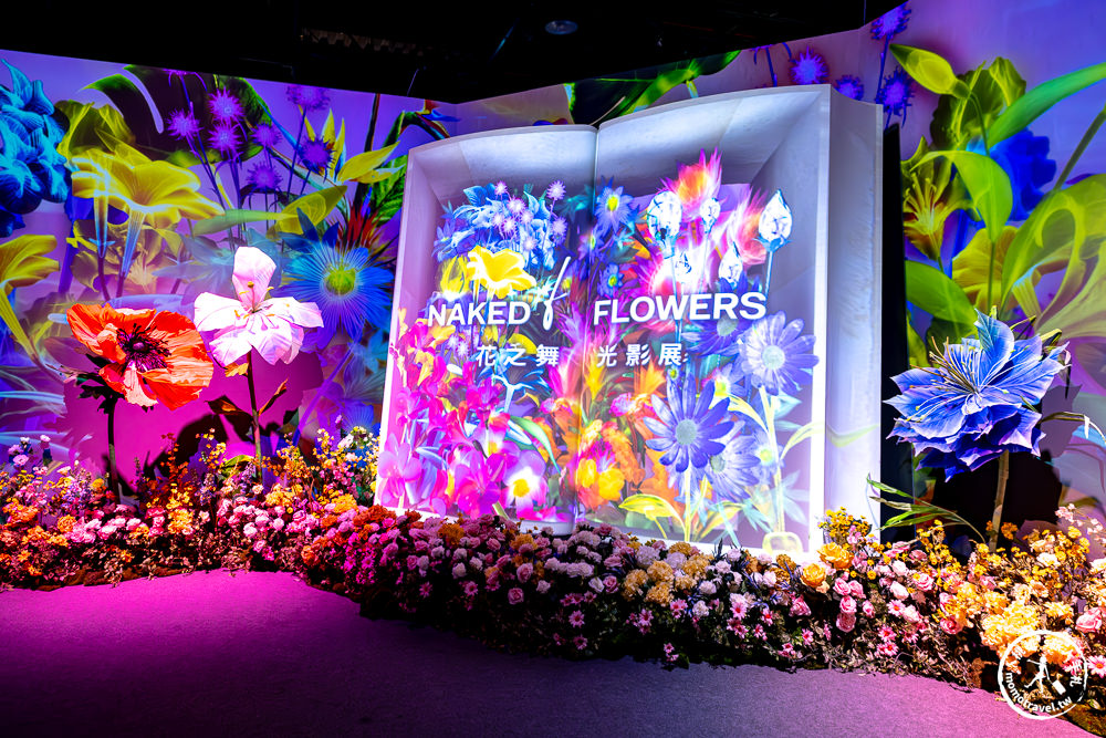 台北展覽|𝐍𝐀𝐊𝐄𝐃 𝐅𝐋𝐎𝐖𝐄𝐑𝐒 花之舞光影展|沉浸式花園探險 一窺神秘花朵微觀世界(展期.門票.周邊商品)