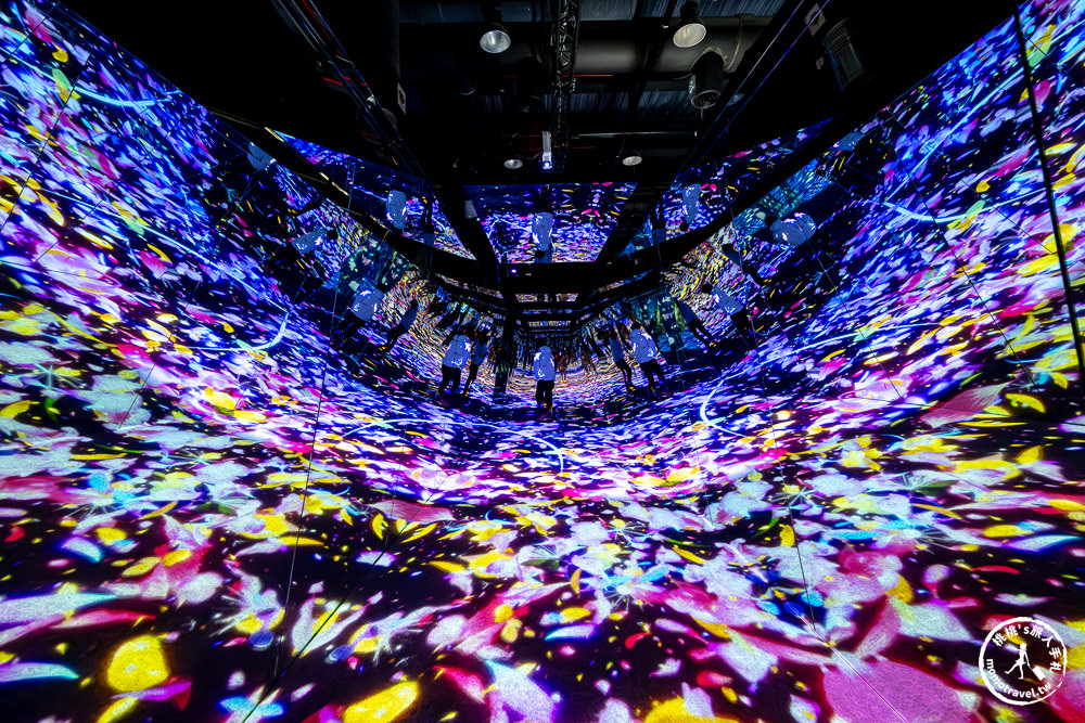 台北展覽|𝐍𝐀𝐊𝐄𝐃 𝐅𝐋𝐎𝐖𝐄𝐑𝐒 花之舞光影展|沉浸式花園探險 一窺神秘花朵微觀世界(展期.門票.周邊商品)