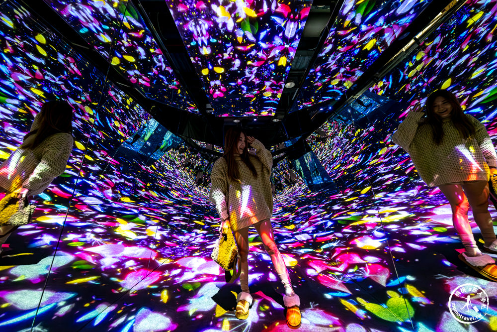 台北展覽|𝐍𝐀𝐊𝐄𝐃 𝐅𝐋𝐎𝐖𝐄𝐑𝐒 花之舞光影展|沉浸式花園探險 一窺神秘花朵微觀世界(展期.門票.周邊商品)