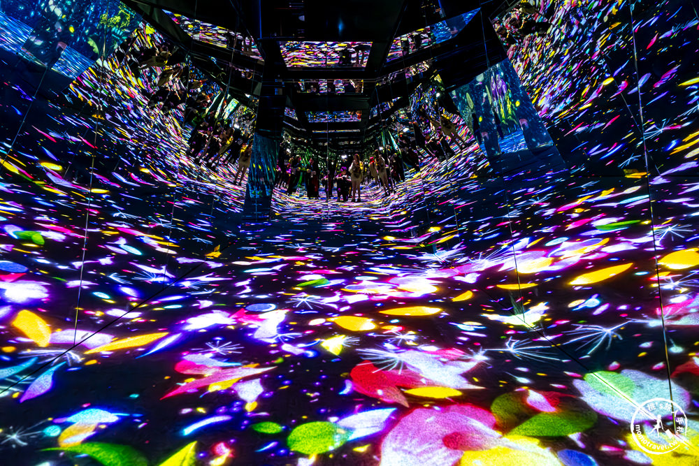 台北展覽|𝐍𝐀𝐊𝐄𝐃 𝐅𝐋𝐎𝐖𝐄𝐑𝐒 花之舞光影展|沉浸式花園探險 一窺神秘花朵微觀世界(展期.門票.周邊商品)