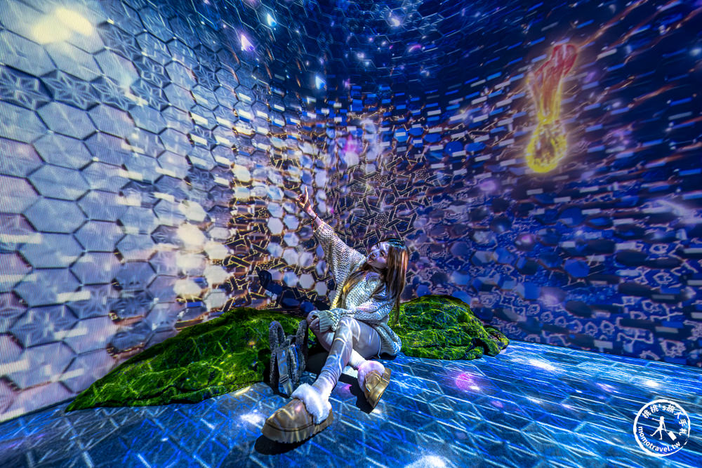 台北展覽|𝐍𝐀𝐊𝐄𝐃 𝐅𝐋𝐎𝐖𝐄𝐑𝐒 花之舞光影展|沉浸式花園探險 一窺神秘花朵微觀世界(展期.門票.周邊商品)