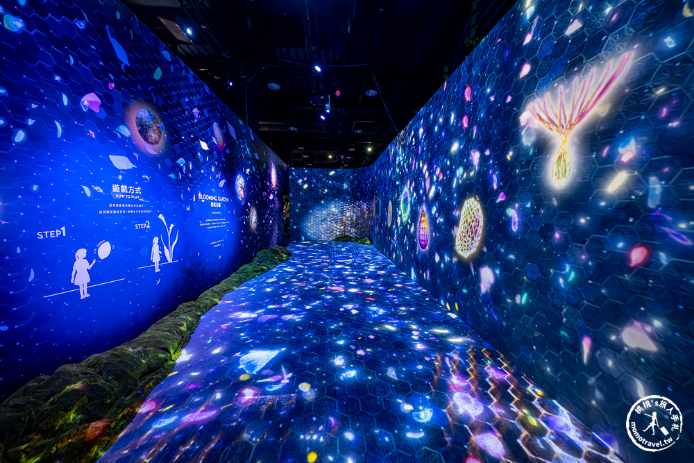 台北展覽|𝐍𝐀𝐊𝐄𝐃 𝐅𝐋𝐎𝐖𝐄𝐑𝐒 花之舞光影展|沉浸式花園探險 一窺神秘花朵微觀世界(展期.門票.周邊商品)