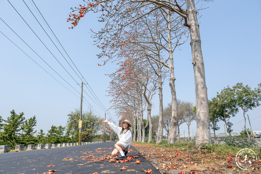 彰化埤頭景點|埤頭木棉花道-東螺溪綠色隧道賞花秘境段|木棉花季時間.花況花期.交通停車.相關介紹