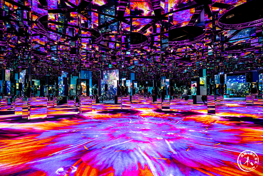 台北展覽|𝐍𝐀𝐊𝐄𝐃 𝐅𝐋𝐎𝐖𝐄𝐑𝐒 花之舞光影展|沉浸式花園探險 一窺神秘花朵微觀世界(展期.門票.周邊商品)