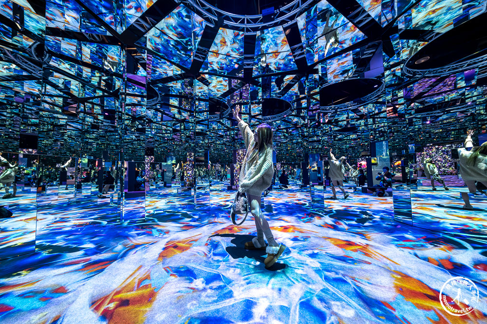 台北展覽|𝐍𝐀𝐊𝐄𝐃 𝐅𝐋𝐎𝐖𝐄𝐑𝐒 花之舞光影展|沉浸式花園探險 一窺神秘花朵微觀世界(展期.門票.周邊商品)