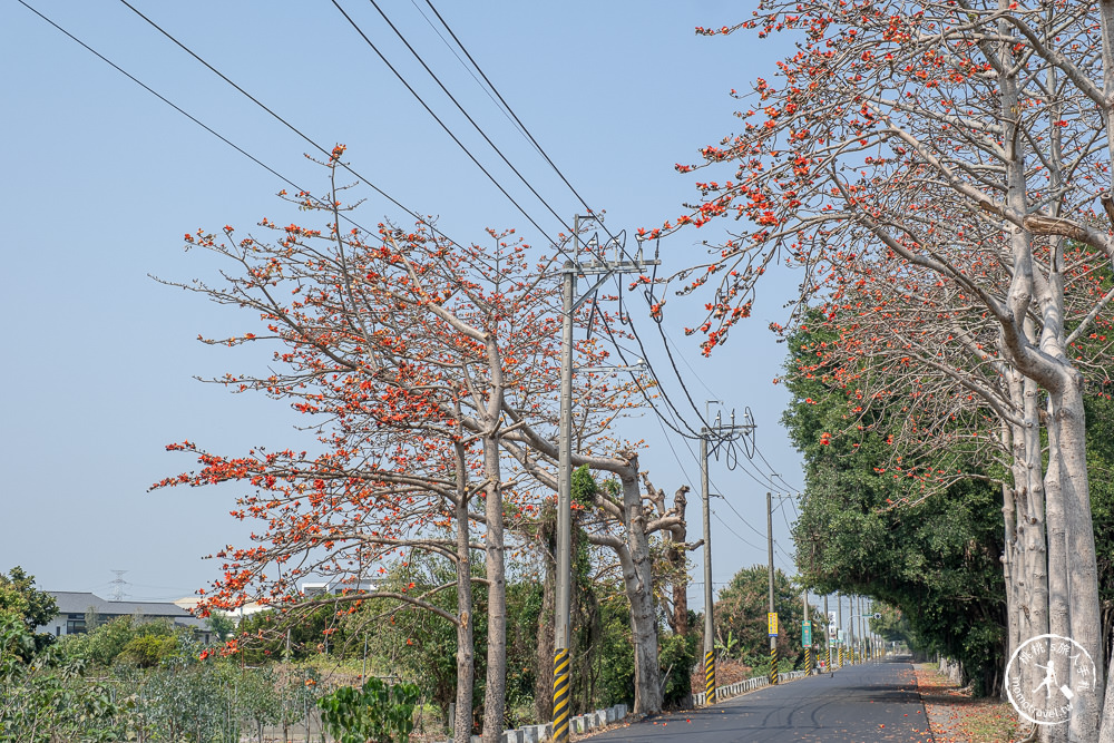 彰化埤頭景點|埤頭木棉花道-東螺溪綠色隧道賞花秘境段|木棉花季時間.花況花期.交通停車.相關介紹